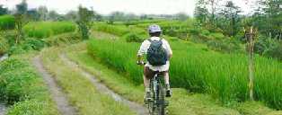 �o�������]�ԃc�A�[