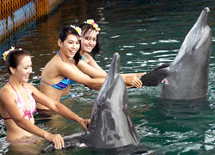 ���E�I�ɗL���ȃC���J�Z���s�[