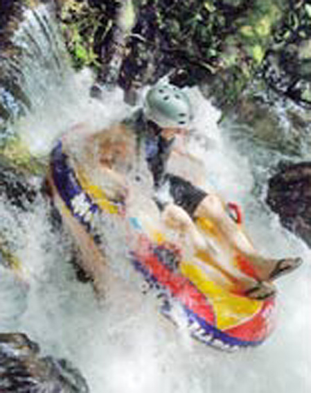 ���o�[�T��