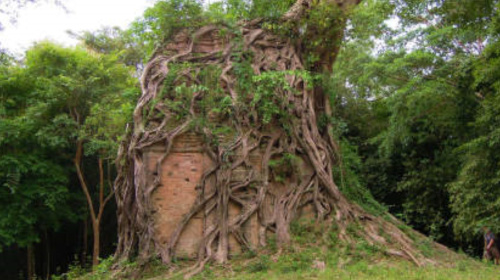 サンボープレイクック