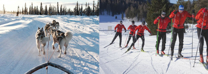 オプショナルツアーの様子