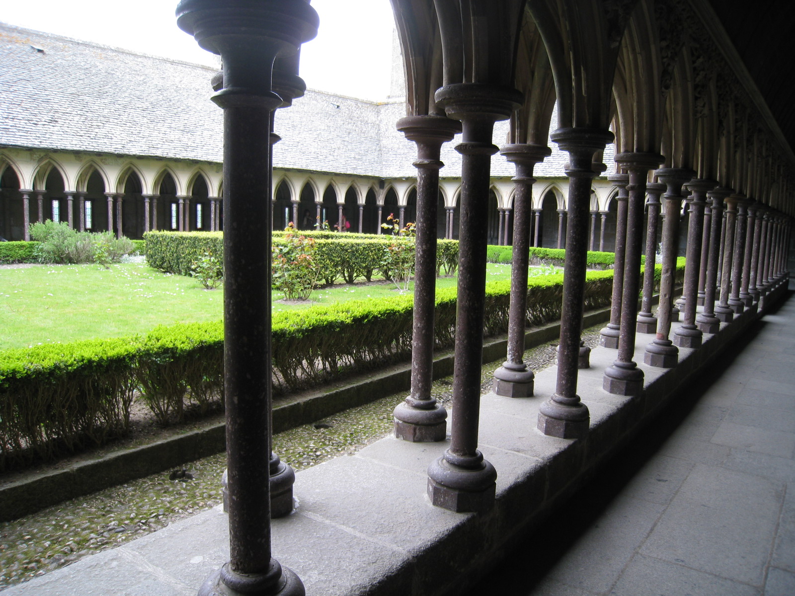 �����T���~�b�V�F���@�ό�