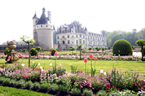 �����T���~�b�V�F���V���m���\�[��