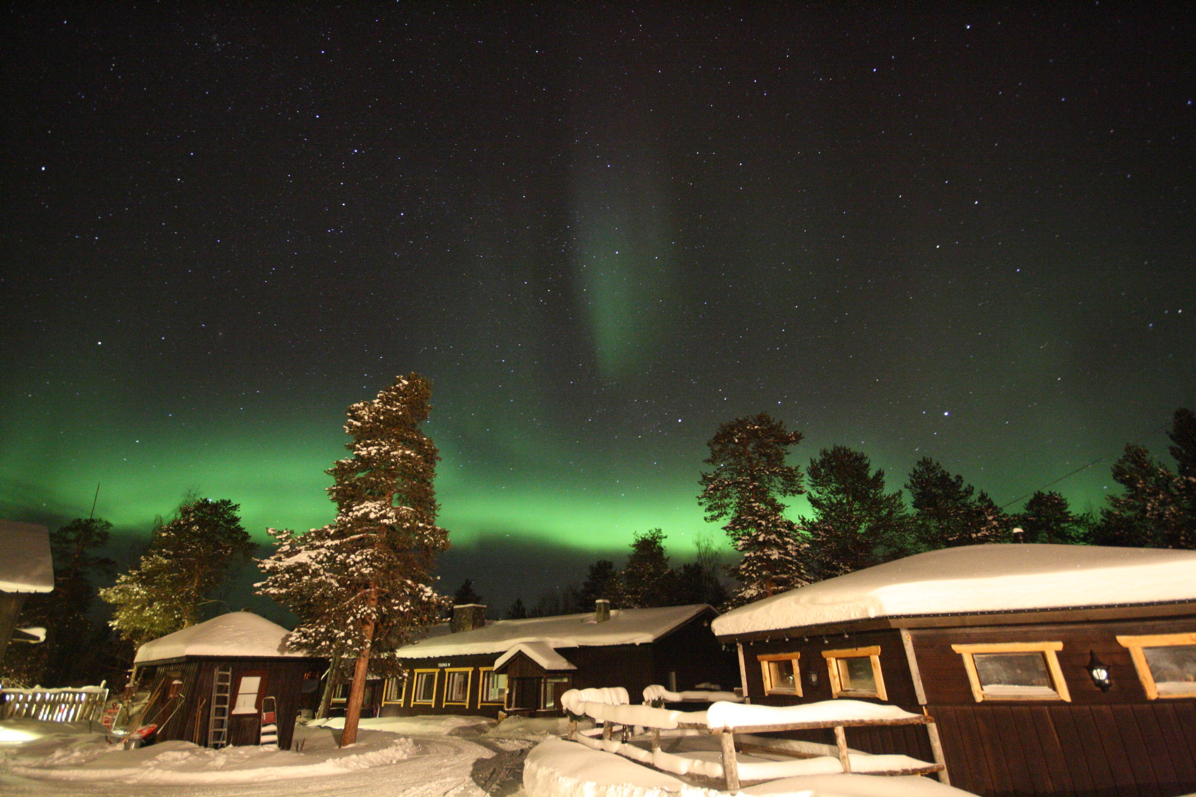 ネリムオーロラ
