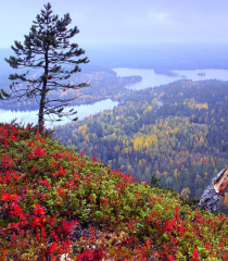 ルカdeネイチャーパワー