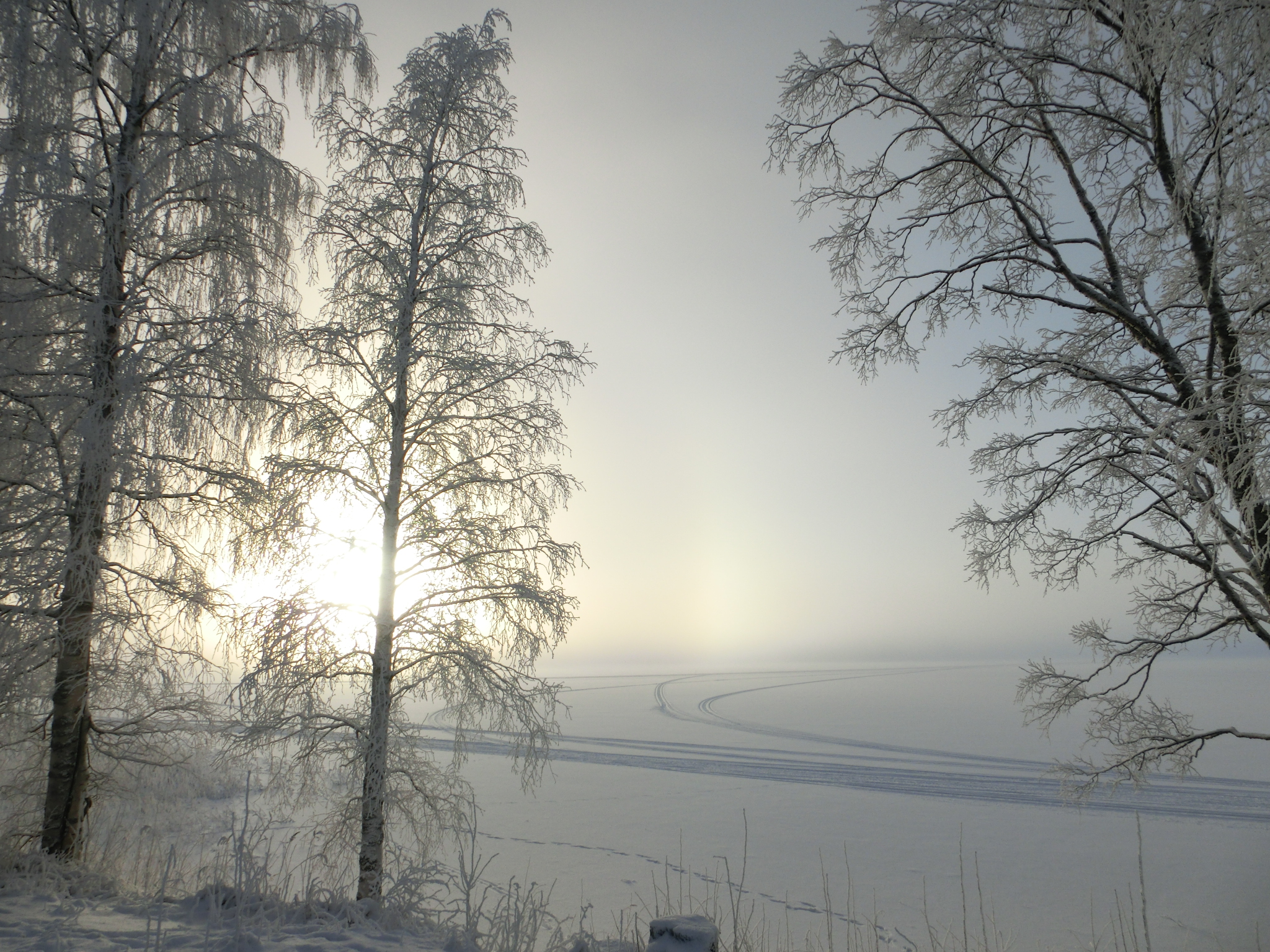 きれいなフィンランドの冬